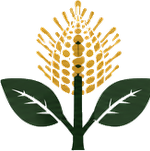 Banksia Plains banksia icon